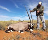 Oryx_Wildlife Vets Namibia